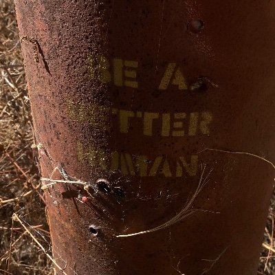 BiscuitPaz's profile picture. Building a FBA legacy one sale at a time