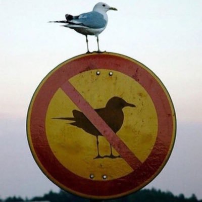 Bulutlu__Hava's profile picture. var ile yok arası biryerlerde…