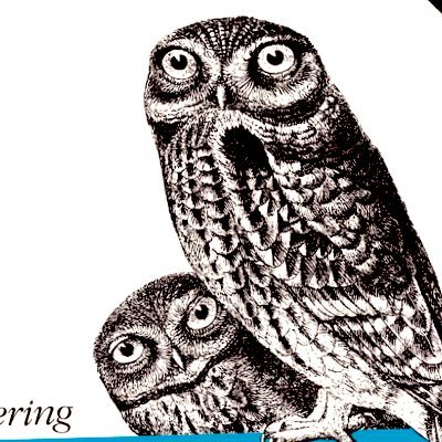 Aman_datarium's profile picture. Solutions Engineer | AI, ML & Data