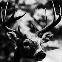 Ethan Mcgowan - @muddiggerman - Twitter