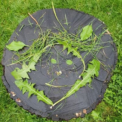 Xerx09634236's profile picture. 