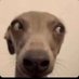Maybe_Notโ (@maybenot2well) Twitter profile photo Maybe_Notโ (@maybenot2well) Twitter profile photo