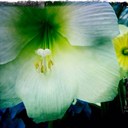 Sara Fleischman - @sfleischman - Twitter