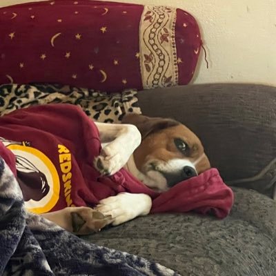 Long time Redskins fan, interested in Science, Nature, Animals, History, Archaeology, Geography, Geology and Space #HTTR #HTTC #RaiseHail