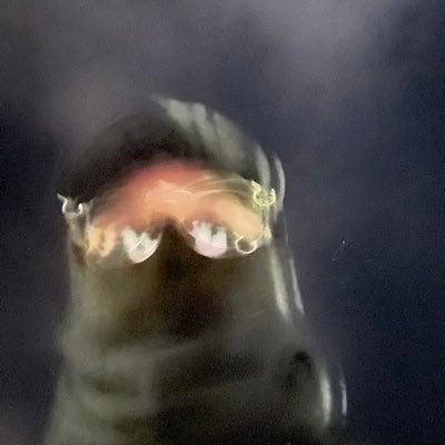 alby_a_'s profile picture. @lastlightnoise @ghost_complex_