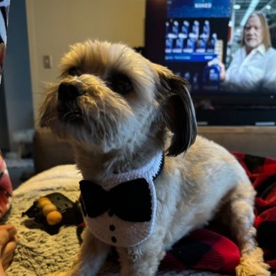 zallet88's profile picture. 