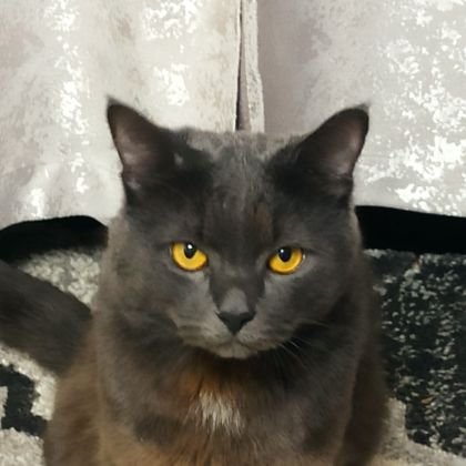 kkkrstnaaa's profile picture. 