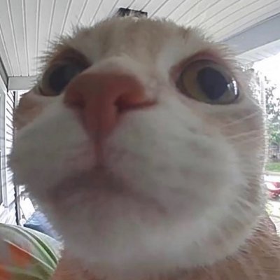 . /> フ
| _ _|
/` ミ__^ノ
/ |
/ ヽ ノ ╱|、
/ | | | (˚ˎ 。7
/ ̄| | | |