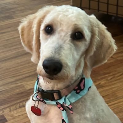 SusanKn89963827's profile picture. 