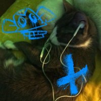 bitch (*っ・з・) luvs her shows (@bitchismeowing) 's Twitter Profile