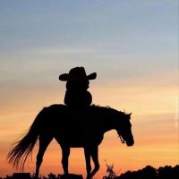 MLAR (@_mlar_) 's Twitter Profile Photo MLAR (@_mlar_) 's Twitter Profile Photo