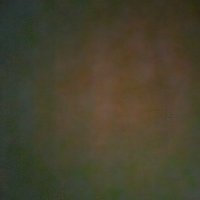 Sleeping Tree (@sleepingtree8) 's Twitter Profile