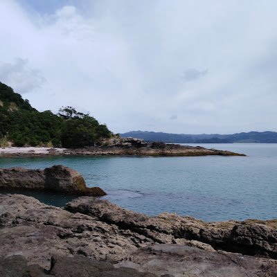 scotlinse's profile picture. 