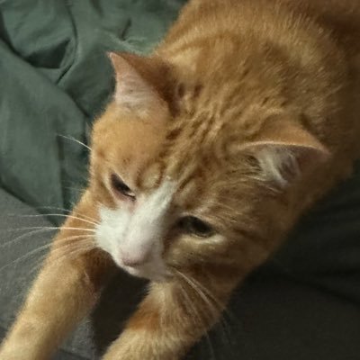 Augue019's profile picture. 