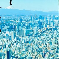 naru (@narumimk) Twitter profile photo