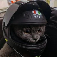 ibra (@ibrahem0q) 's Twitter Profile Photo