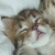 these are my Tweets