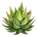 Agave (@agaveluvr) Twitter profile photo Agave (@agaveluvr) Twitter profile photo