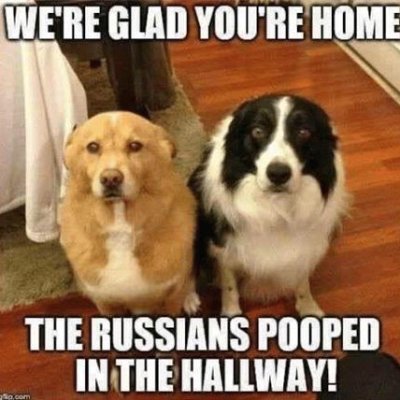 RescueFostrAdpt's profile picture. Free Palestine Yesterday. Free speech is for everyone. Murder is bad. Dogs rule. Thx for your attn to this unverified but awesome acct.