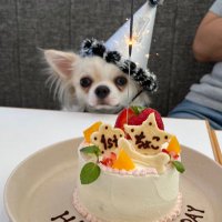 ホタル☆🍈しばらくお酒が呑めません🥺 (@kumojiro9393) 's Twitter Profile Photo ホタル☆🍈しばらくお酒が呑めません🥺 (@kumojiro9393) 's Twitter Profile Photo