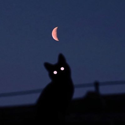 hx71vg's profile picture. 