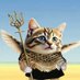 Stillbonking - feline Fella 🏴❤️🇺🇦 (@krulskitten) Twitter profile photo Stillbonking - feline Fella 🏴❤️🇺🇦 (@krulskitten) Twitter profile photo