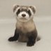 $SIBERT (@sibertcto) Twitter profile photo $SIBERT (@sibertcto) Twitter profile photo
