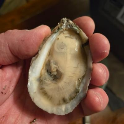 thejoerieker's profile picture. 