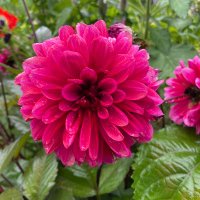 JC (@heyitsjessc) 's Twitter Profile