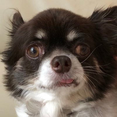 べべさんのプロフィール画像