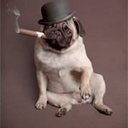 Becky Rouse - @BeckBallzz - Twitter