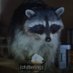 Pantry raccoon (@pantryraccoon18) Twitter profile photo Pantry raccoon (@pantryraccoon18) Twitter profile photo
