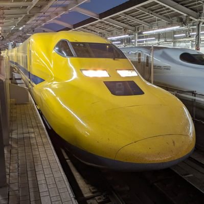 🐼 もこたん🐼（モコパン、もこちゃん） (@mokomokopanda) / Posts / X