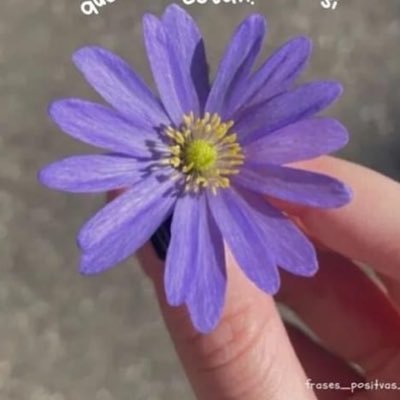 curseourhearts's profile picture. De