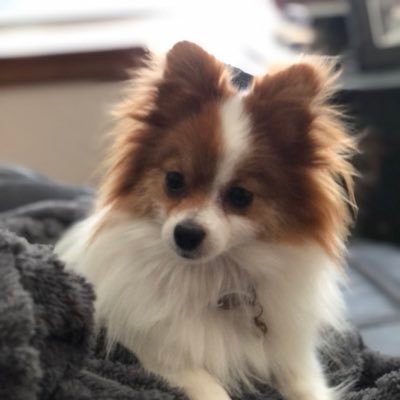 ReynaSanch21058's profile picture. 