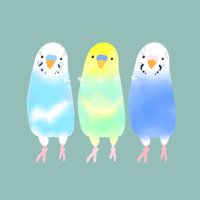 くらぷく (@pupyotan) Twitter profile photo