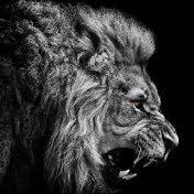 PatriotFury76's profile picture. “Those who expect to reap the blessings of freedom, must, like me, undergo the fatigue of supporting it.” Thomas Paine