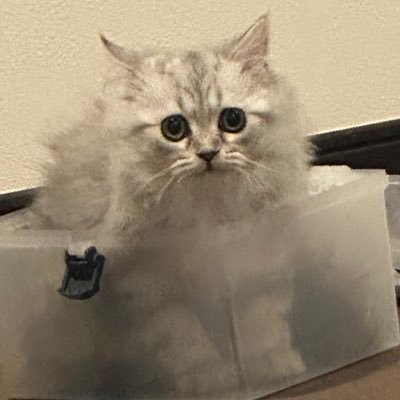 人選ぶ🗝@mothisub 最奥@overtrollLv100ことなつ、ぱるんファンボーイ