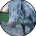 $CHEYENNE CTO (@cheyennecto) Twitter profile photo $CHEYENNE CTO (@cheyennecto) Twitter profile photo