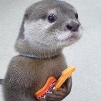 熊艺淋 (@polarblackbear2) 's Twitter Profile