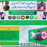 hammad ali (@gujjarfg712) 's Twitter Profile