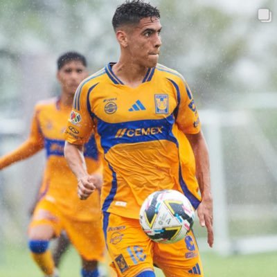 @tigresoficial🐯⚽️ insta📷davidayala212 snap👻 davidayala197🏃🏾