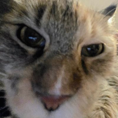 hellobaby5555's profile picture. 