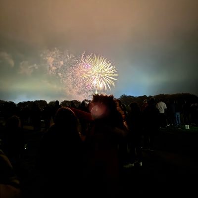 BetWinning9's profile picture. 