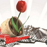 زهرا (@mazloomyzahra1) 's Twitter Profile Photo زهرا (@mazloomyzahra1) 's Twitter Profile Photo