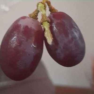 DuncanPfar14724's profile picture. 