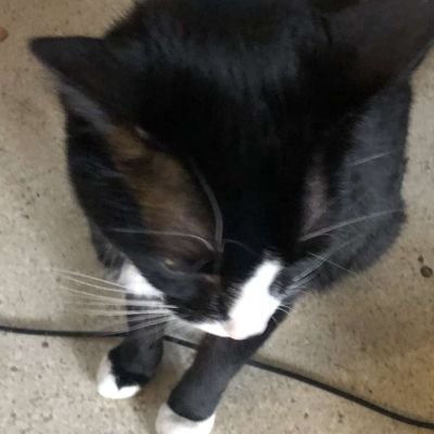 coolkilitt's profile picture. 24. boy mom