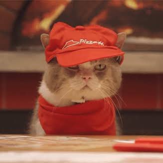 mildpizzacat's profile picture. 