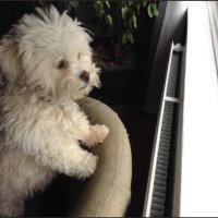 A (@ekjag1) 's Twitter Profile Photo