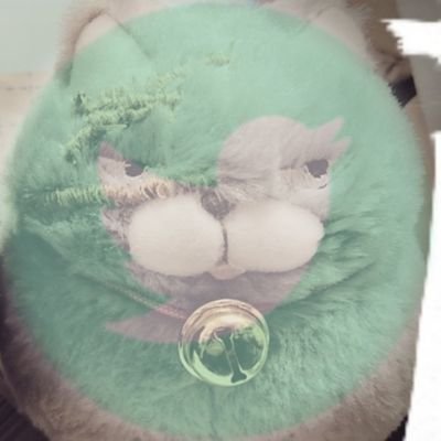 🦇鷹鶻🕷️🕸️さんのプロフィール画像